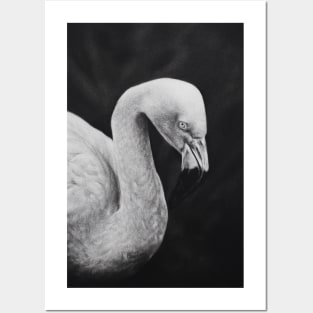 Flamingo - charcoal drawing Posters and Art